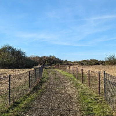 McLaughlin Eastshore State Park