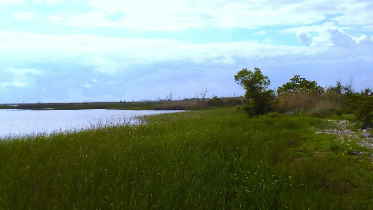 Marsh on the Mobile-Tensaw Delta in Meaher State Park, Spanish Fort, Alabama