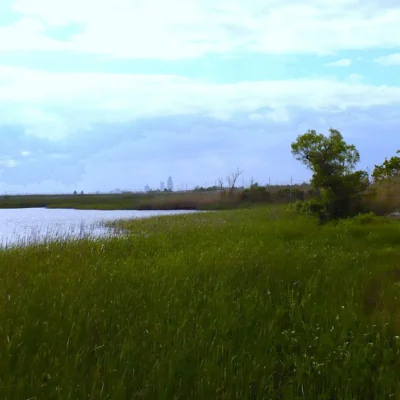 Meaher State Park