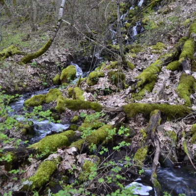 Memaloose State Park