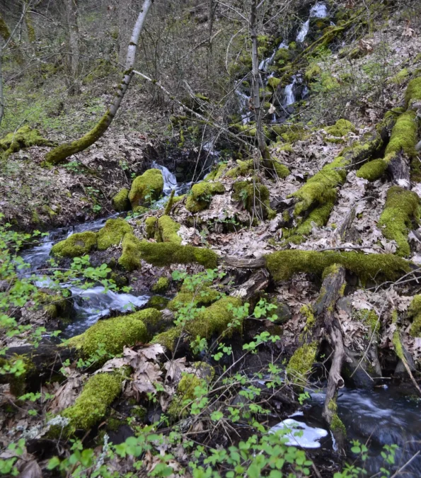 Memaloose State Park (Oregon)