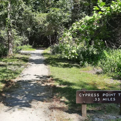 Merchants Millpond State Park