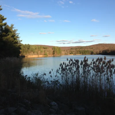 Meshomasic State Forest