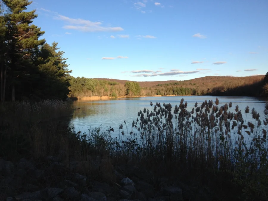 Meshomasic State Forest (Connecticut)