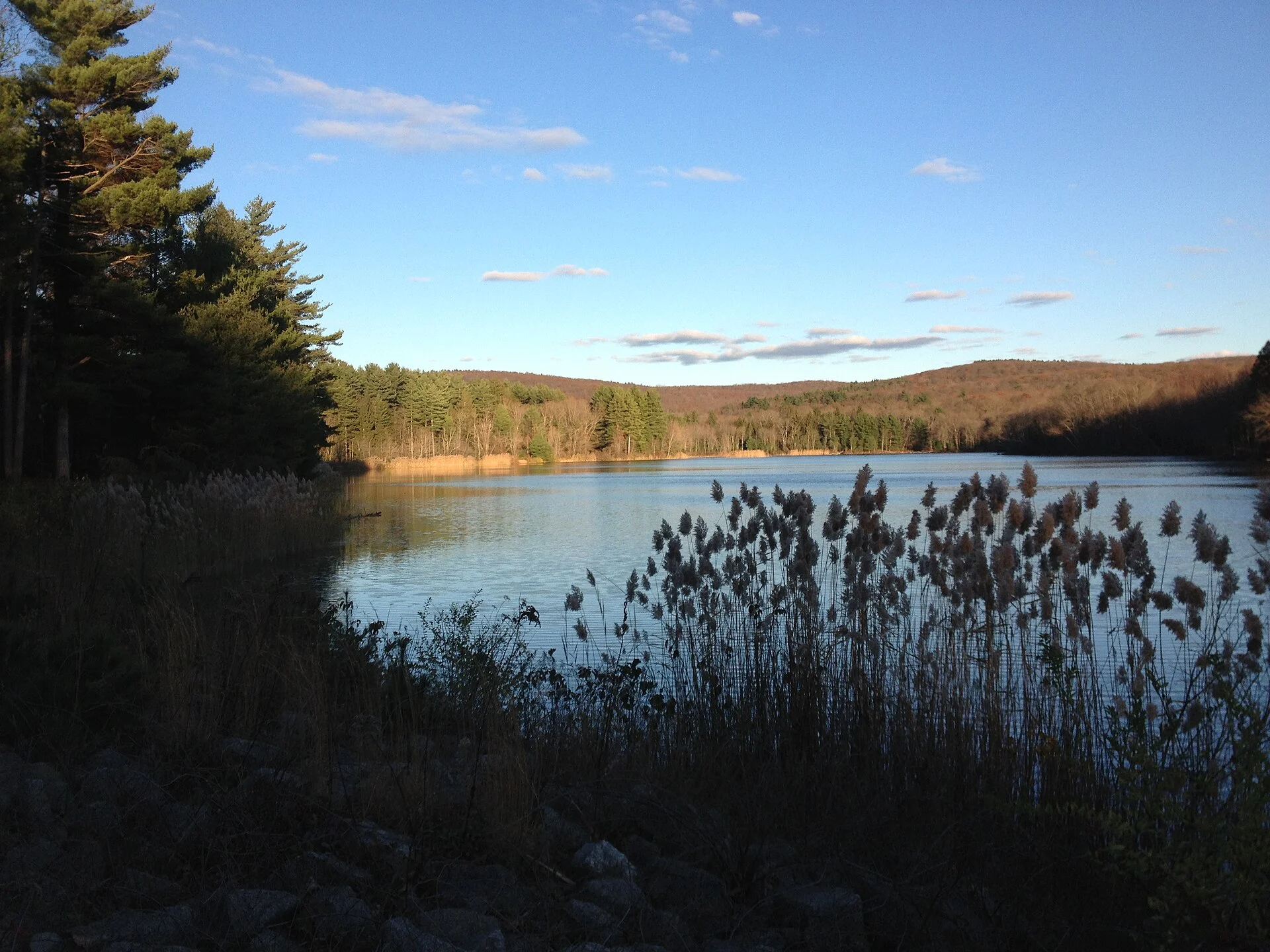 Meshomasic State Forest