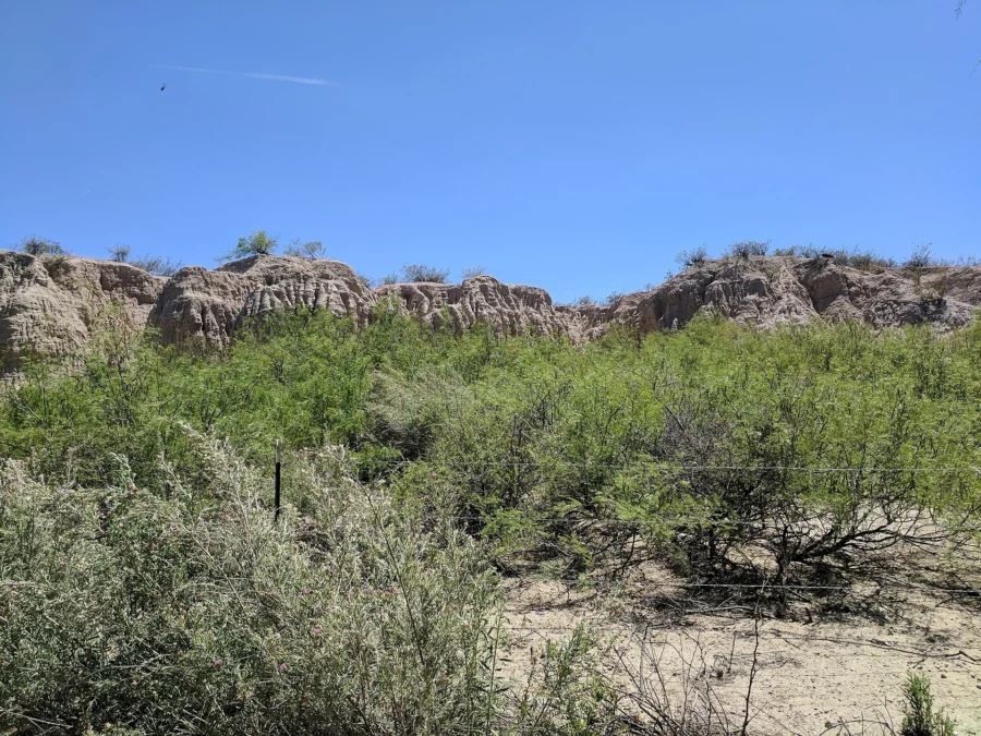 Mesilla Valley Bosque State Park (New Mexico)