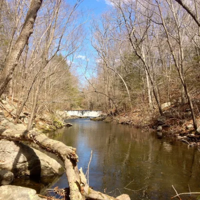 Mianus River Park