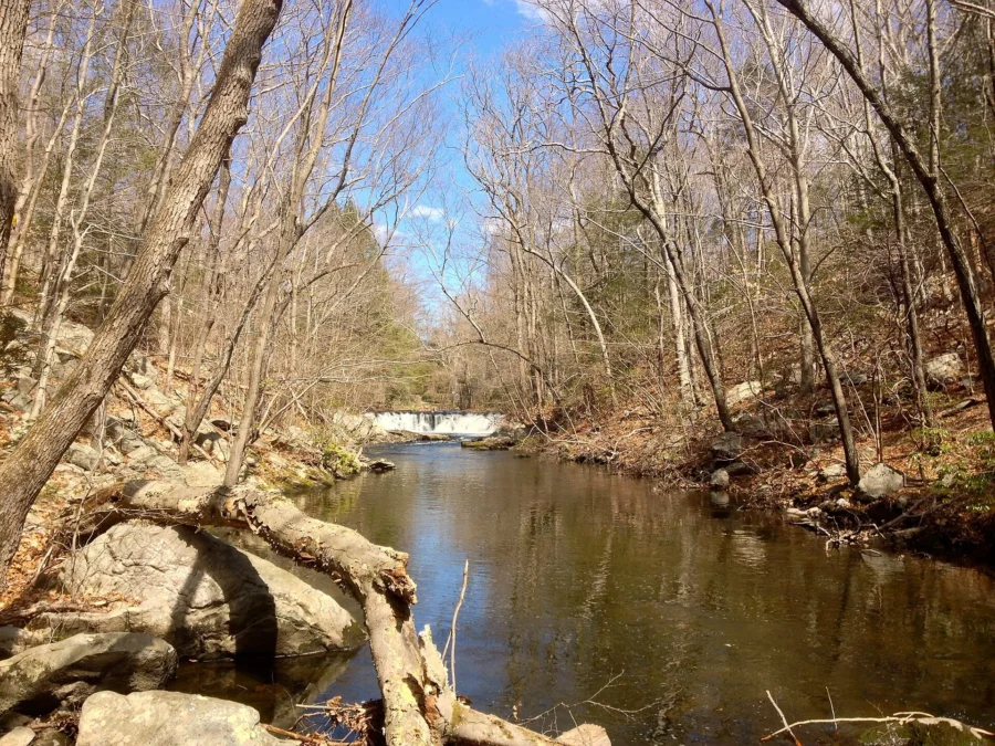 Mianus River Park (Connecticut)