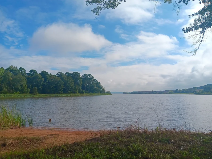 Millwood State Park 28 Millwood State Park (Arkansas)