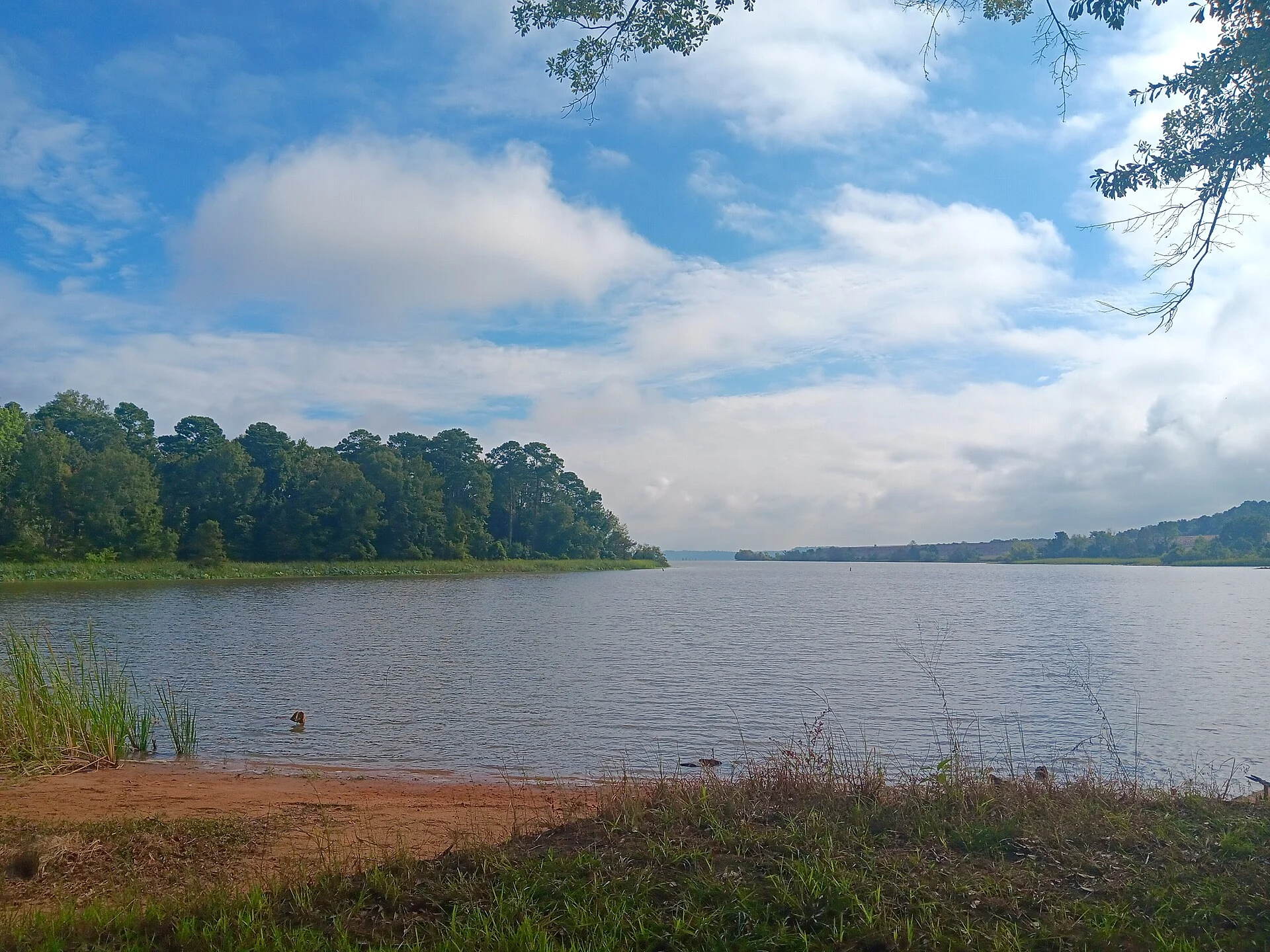 Millwood State Park