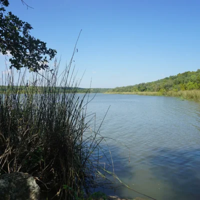 Mineral Wells State Park