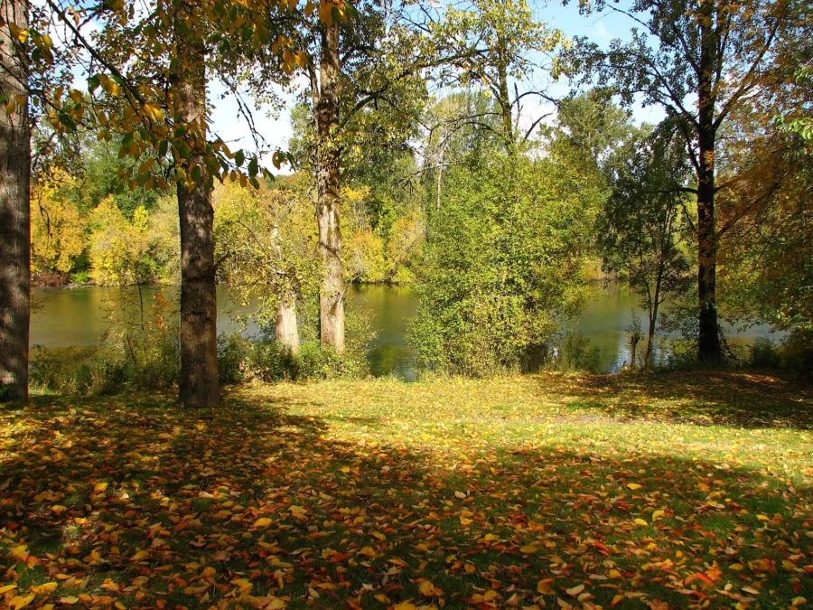 Molalla River State Park (Oregon)