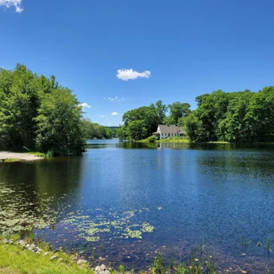 Mono Pond State Park Reserve