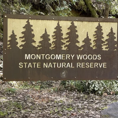 Montgomery Woods State Natural Reserve