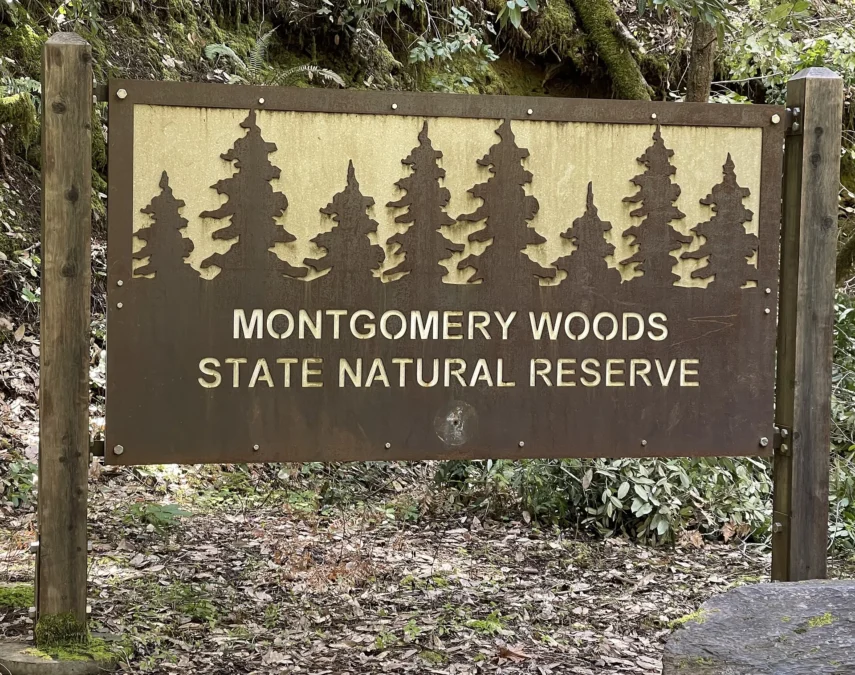 Montgomery Woods State Natural Reserve 152 Montgomery Woods State Natural Reserve (California)