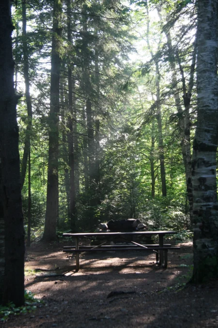 Moose Brook State Park (New Hampshire)