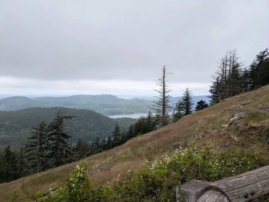 Forested hills, firs and distant water seen from the slopes of Mount Constitution, Moran State Park, Washington