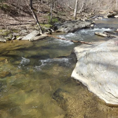 Morgan Run Natural Environment Area