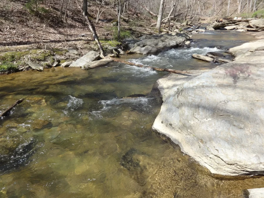 Morgan Run Natural Environment Area (Maryland)