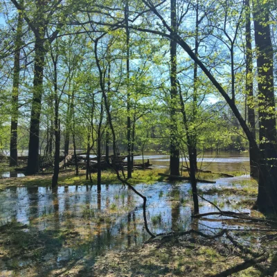 Moro Bay State Park