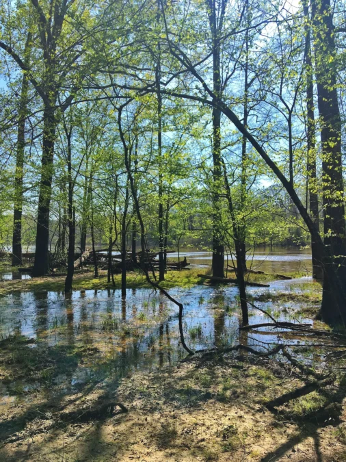 Moro Bay State Park 30 Moro Bay State Park (Arkansas)