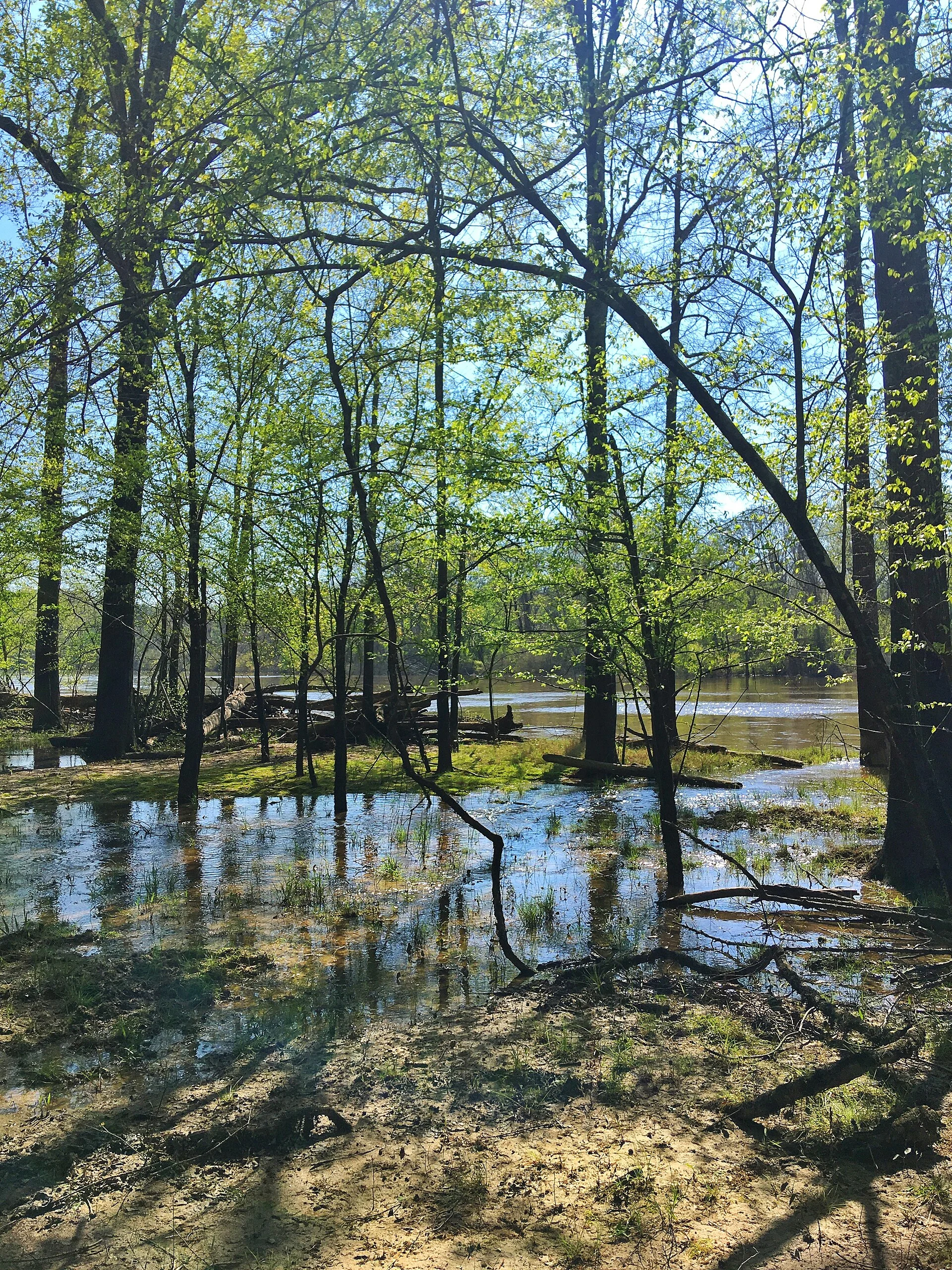 Moro Bay State Park