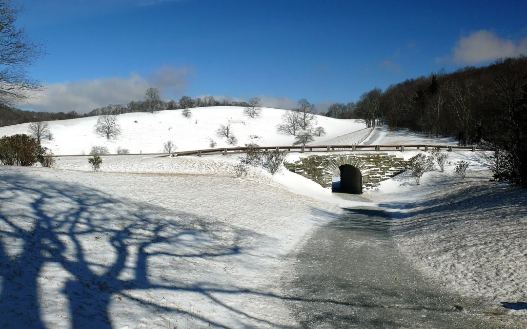 Moses H. Cone Memorial Park (North Carolina)