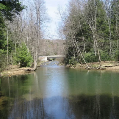 Moshannon State Forest