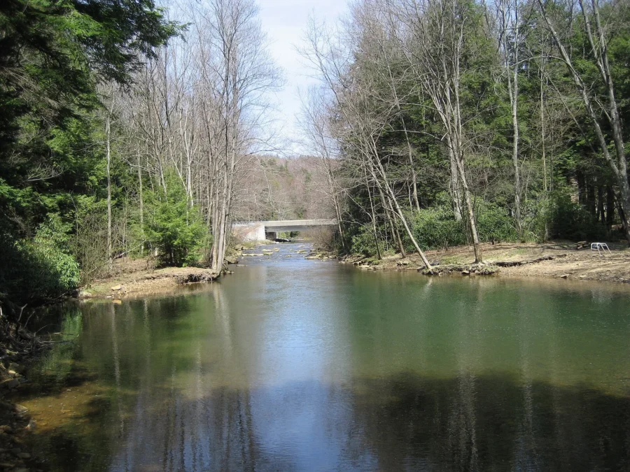 Anderson Creek near Brown Springs in Moshannon State Forest, Pennsylvania