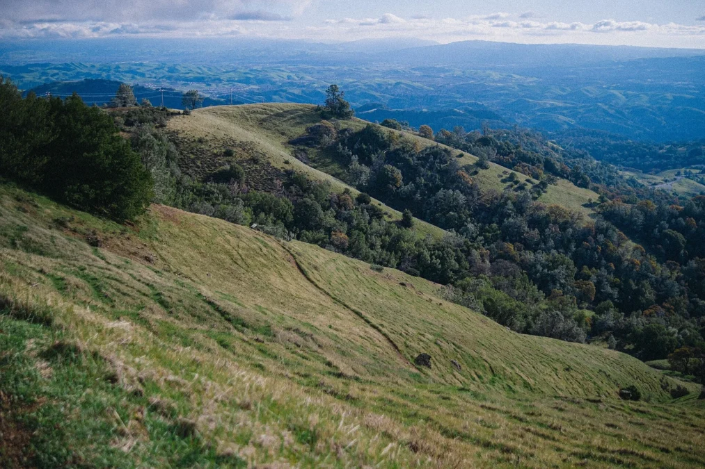 Mount Diablo State Park (California)