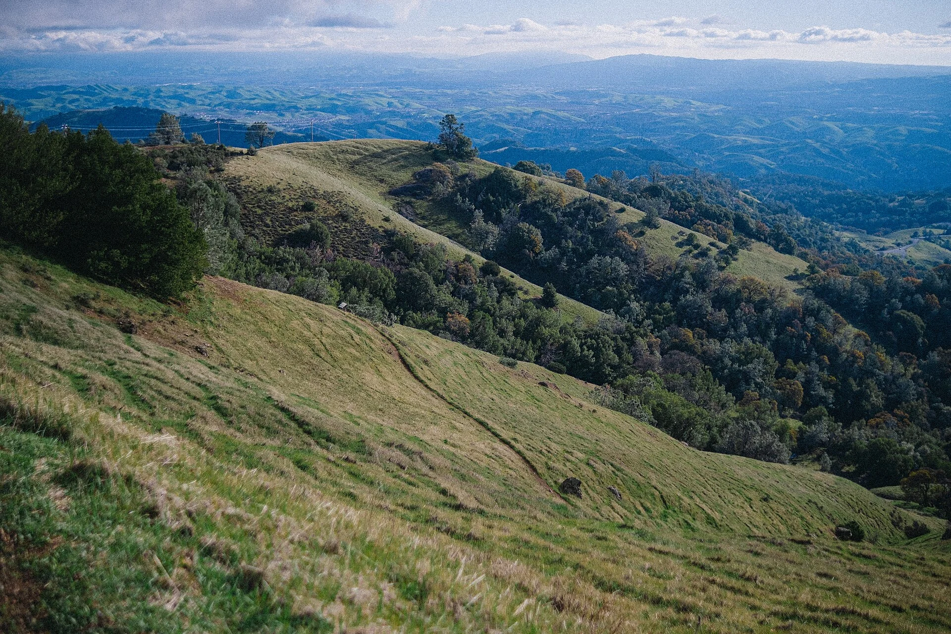 Mount Diablo State Park