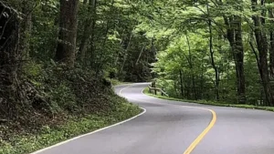 Mount Greylock State Reservation