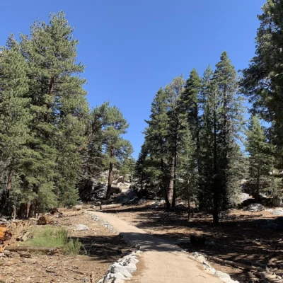 Mount San Jacinto State Park