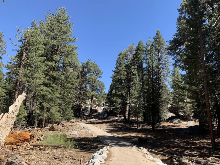 Mount San Jacinto State Park 158 Mount San Jacinto State Park (California)
