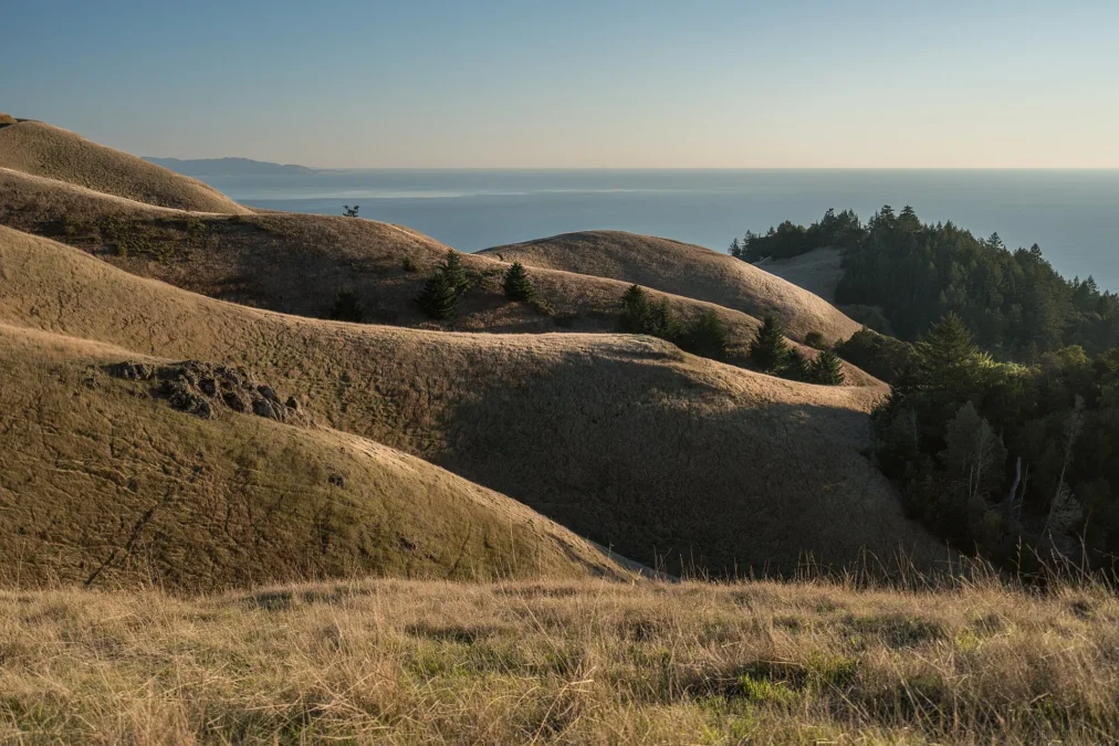 Mount Tamalpais State Park 141 Golden grassy ridges of Mount Tamalpais above the Pacific Ocean, California