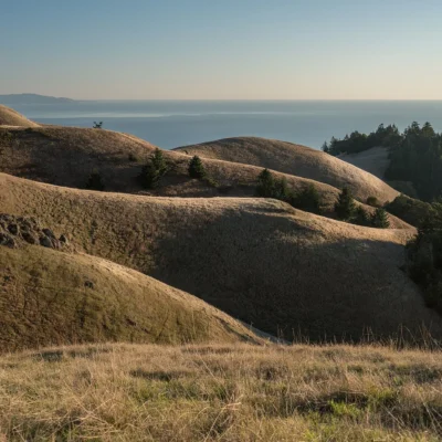 Mount Tamalpais State Park