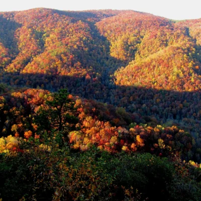 Mountain Bridge Wilderness Area