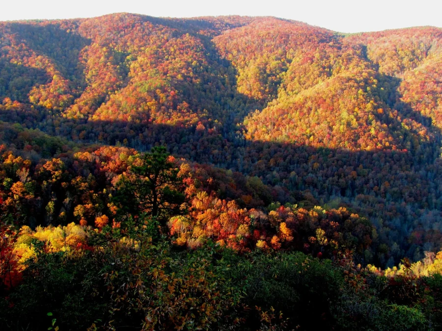 Mountain Bridge Wilderness Area (South Carolina)