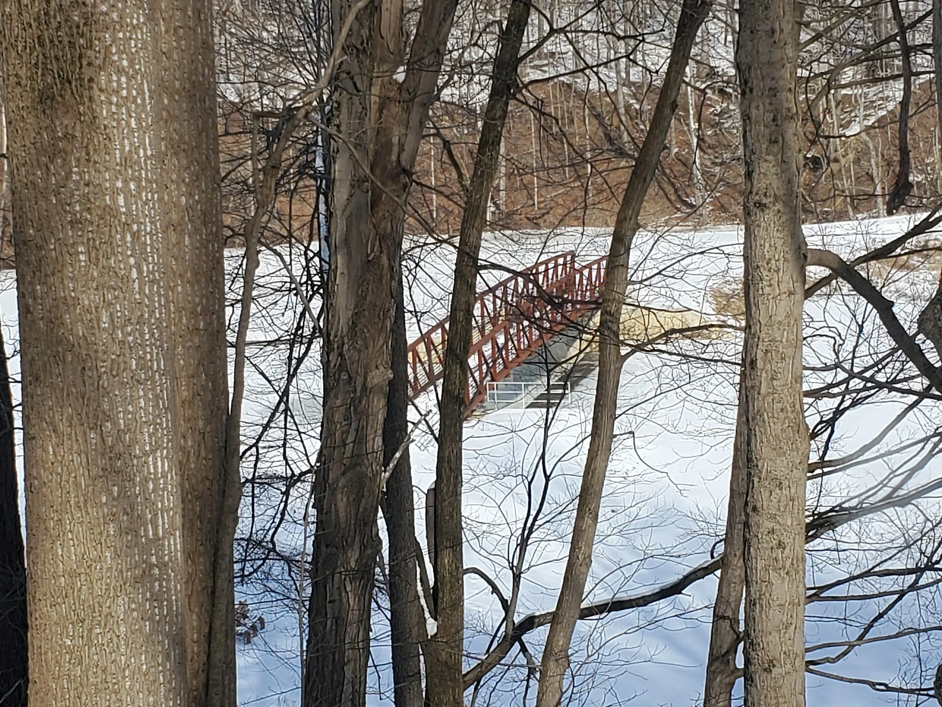 Mt Gilead State Park