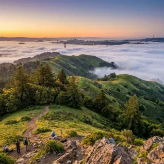Mount Tamalpais State Park