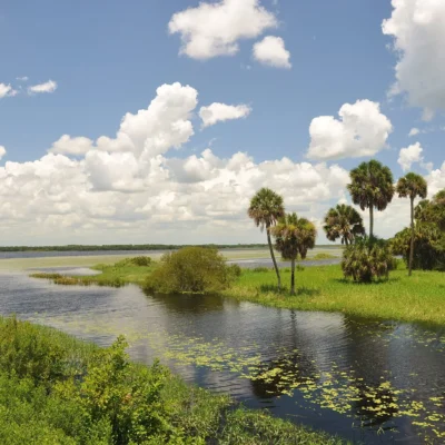 Myakka River State Park