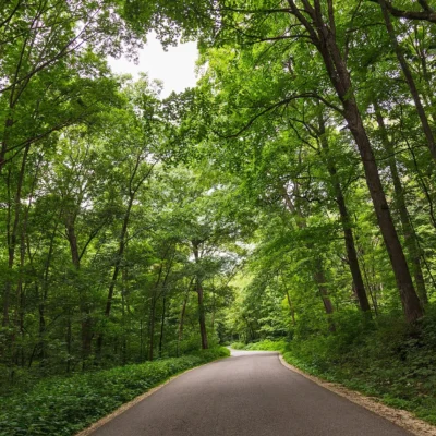 Forestville / Mystery Cave State Park