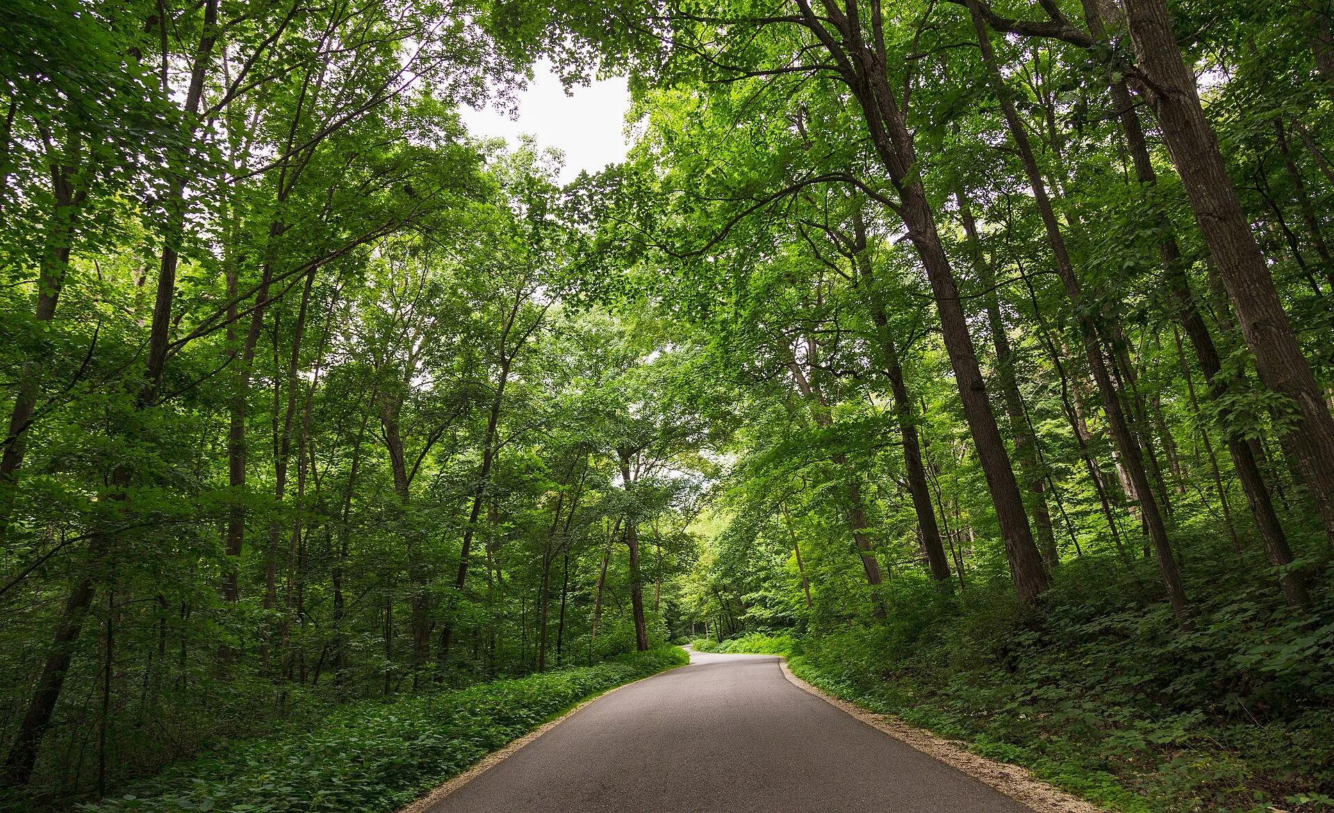 Forestville / Mystery Cave State Park