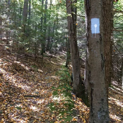 Nassahegon State Forest