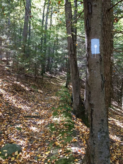 Nassahegon State Forest (Connecticut)