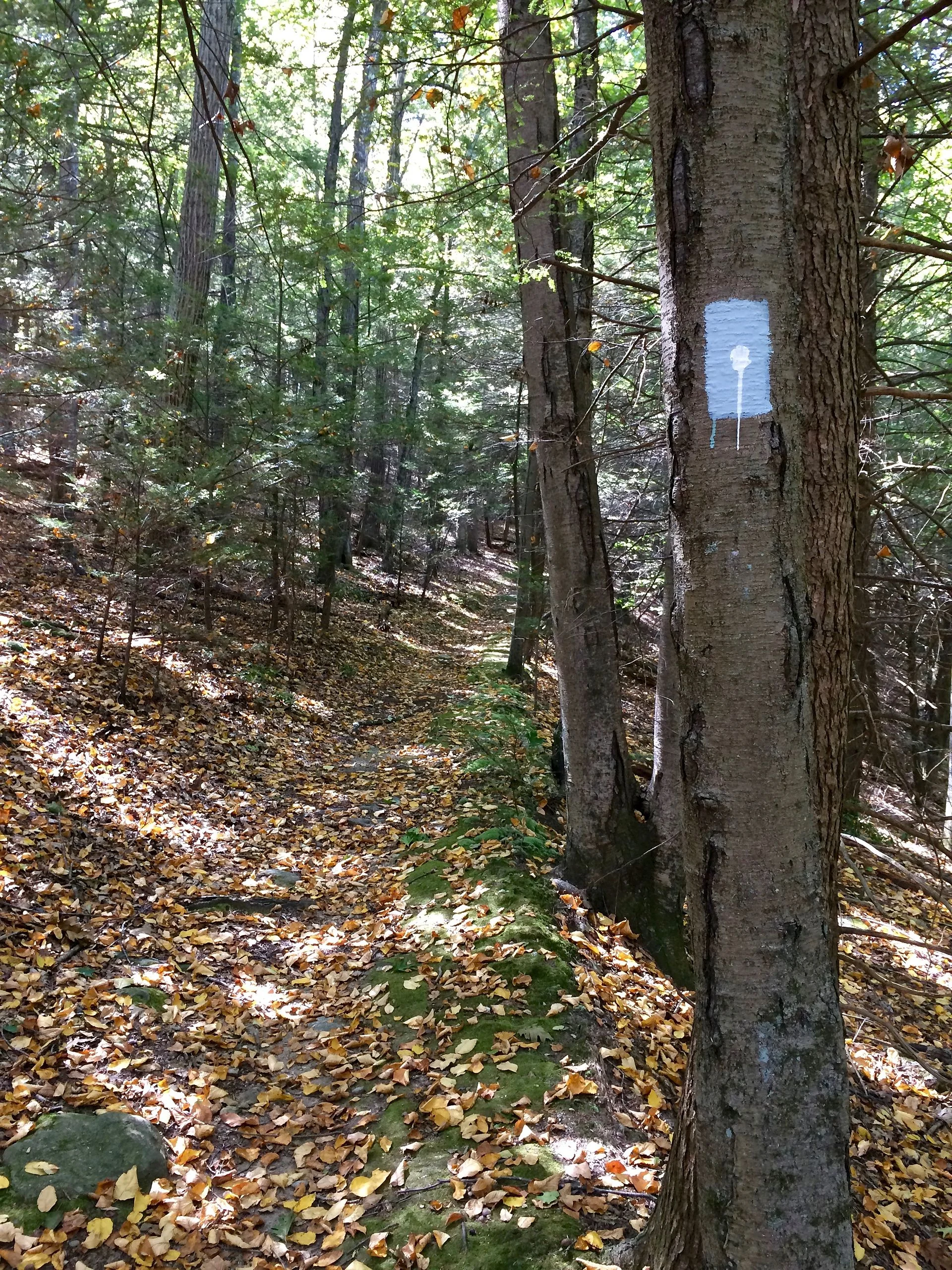Nassahegon State Forest