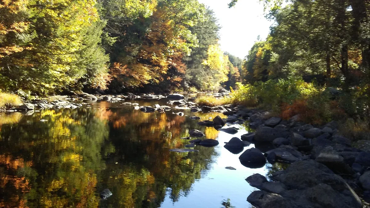 Natchaug State Forest (Connecticut)