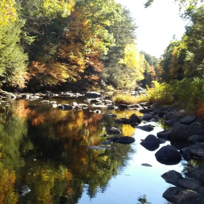Natchaug State Forest
