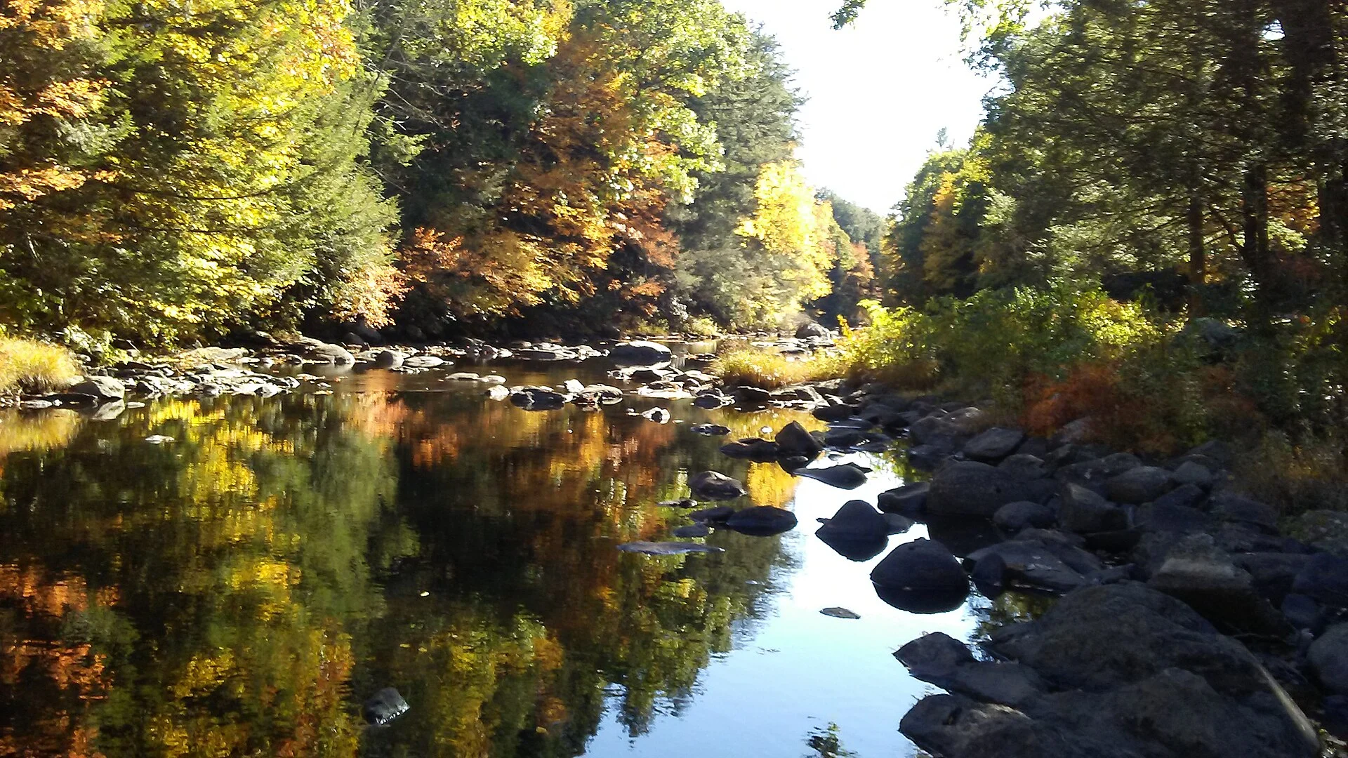 Natchaug State Forest