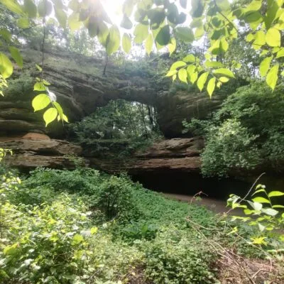 Natural Bridge State Park